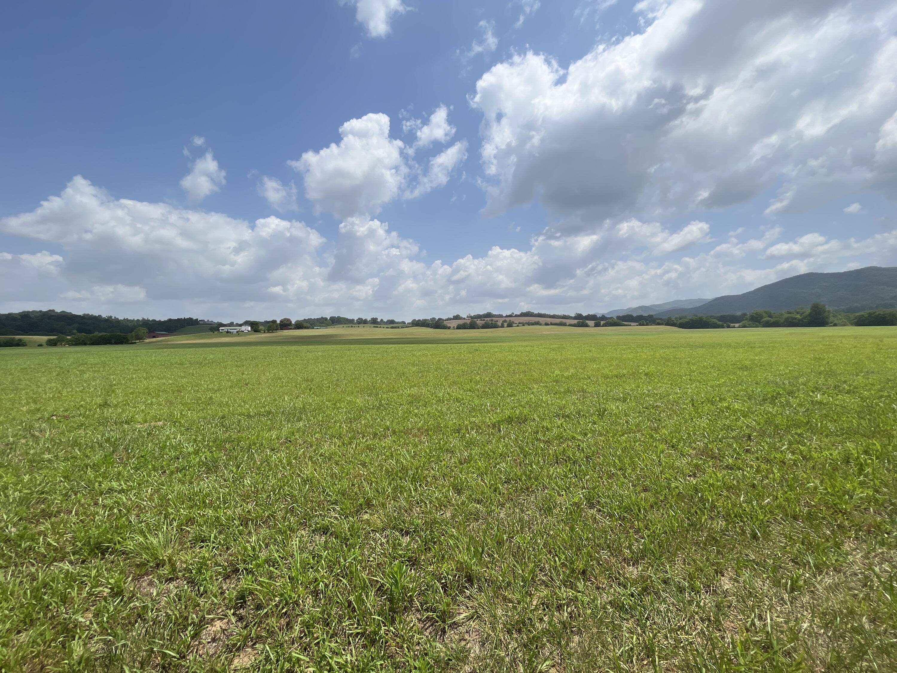 Tbd Ray Peterson Road, Unit 9 Limestone, TN 37681 - Photo 3 of 8 image