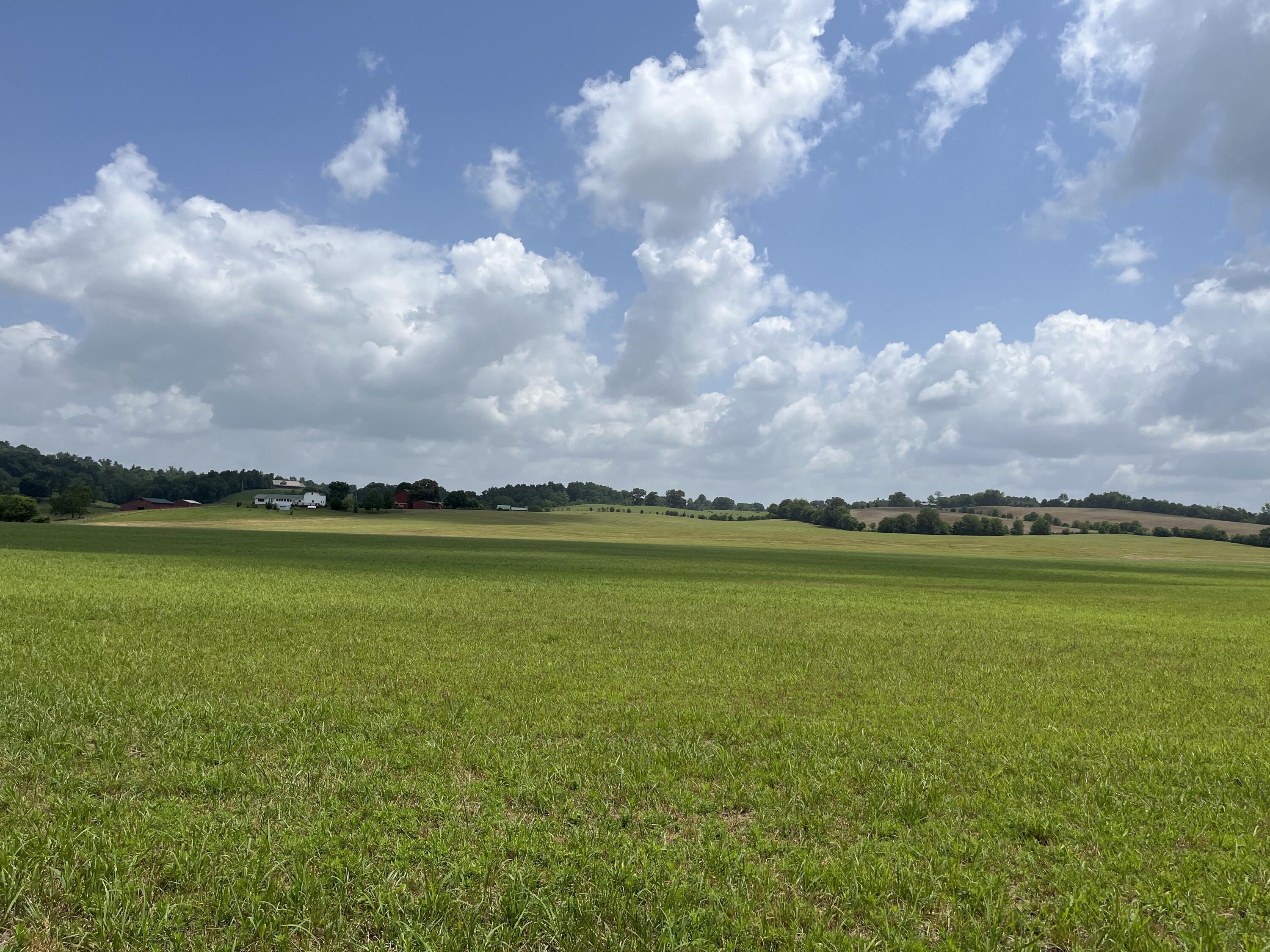 Tbd Ray Peterson Road, Unit 9 Limestone, TN 37681 - Photo 5 of 8 image