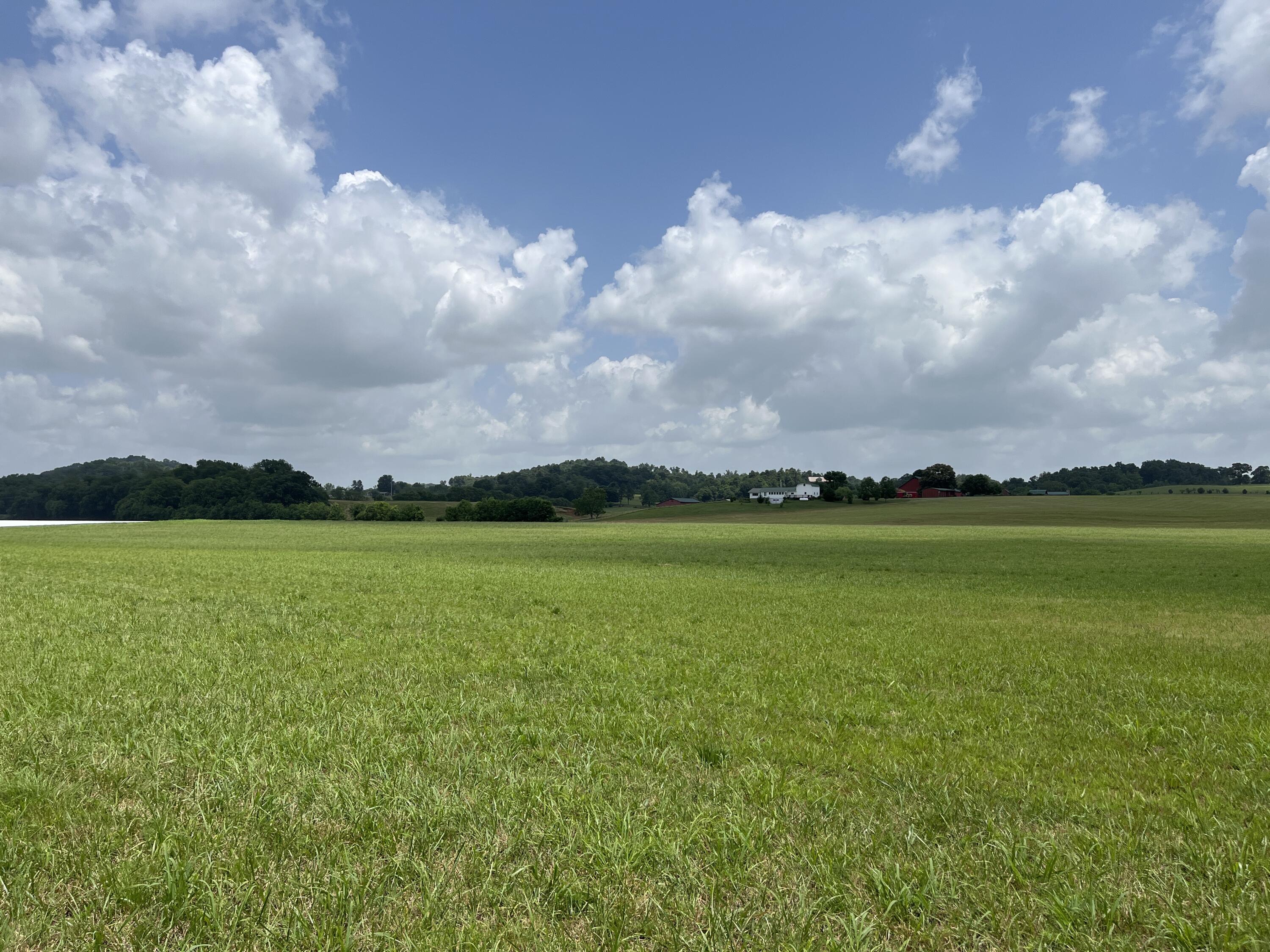 Tbd Ray Peterson Road, Unit 9 Limestone, TN 37681 - Photo 6 of 8 image