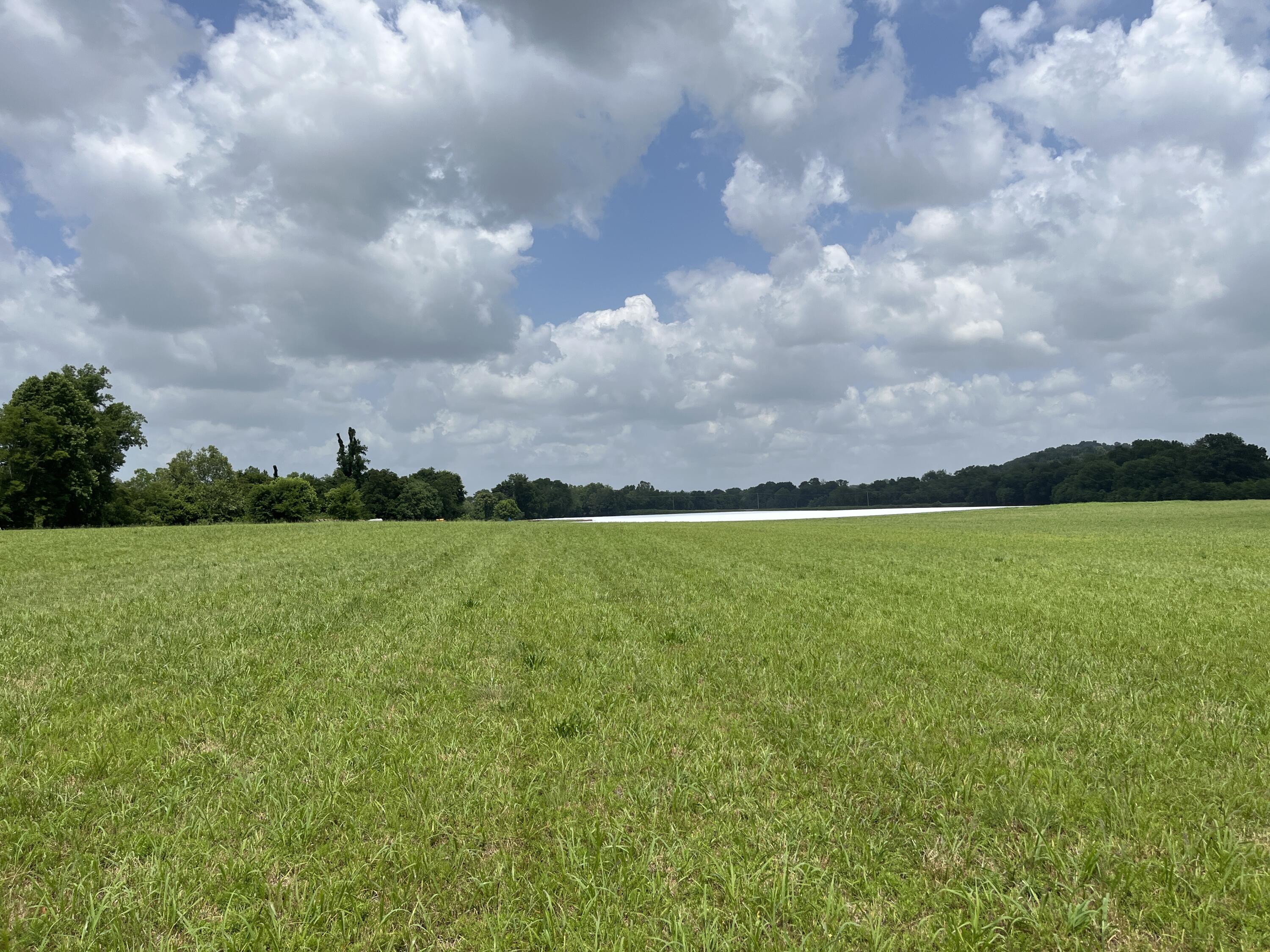 Tbd Ray Peterson Road, Unit 9 Limestone, TN 37681 - Photo 7 of 8 image