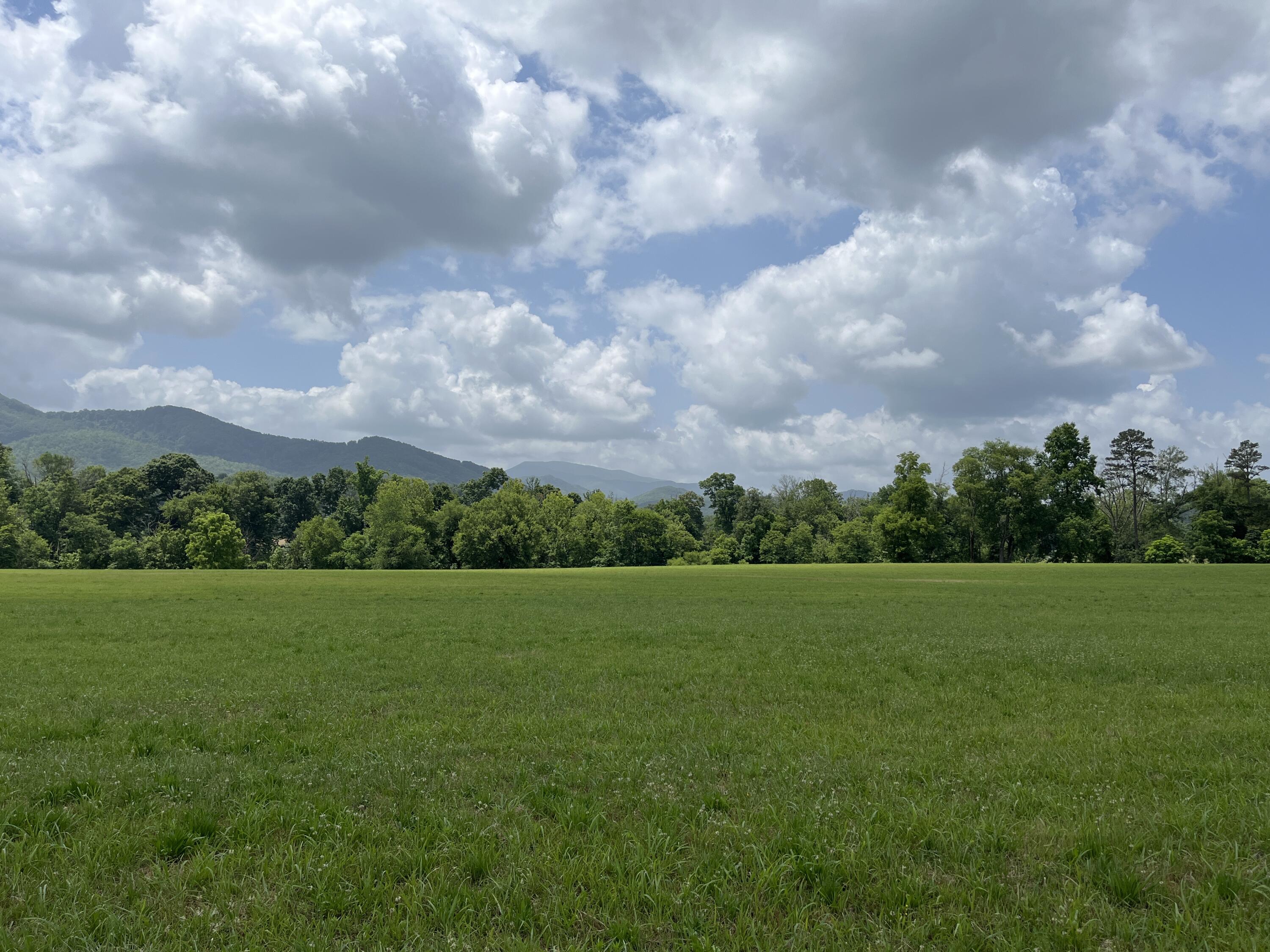 Tbd Ray Peterson Road, Unit 9 Limestone, TN 37681 - Photo 8 of 8 image