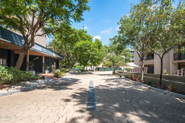 a view of a street with a tree