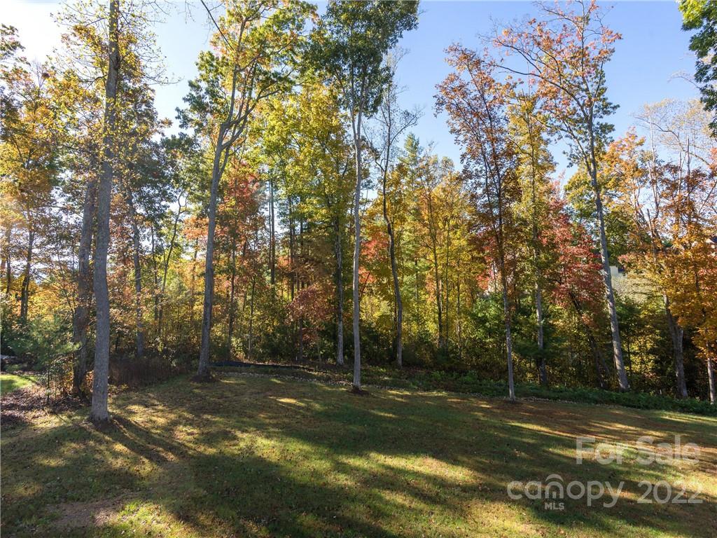 45 Jackson Meadow Road Fletcher, NC 28732 - Photo 10 of 36 Gallery Image 10