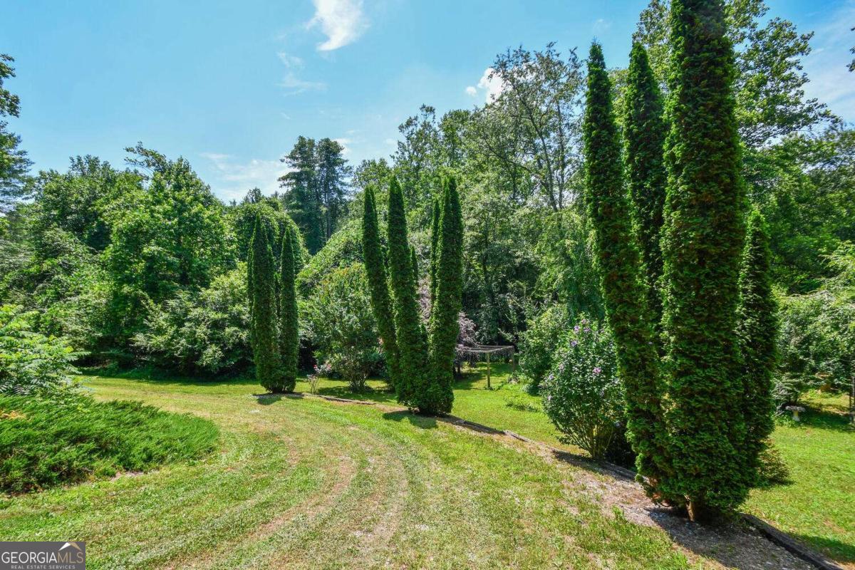501 The Orchard Road Clarkesville, GA 30523 - Photo 11 of 20 a view of outdoor space with deck and yard