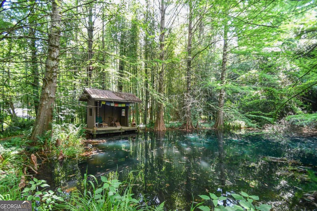 501 The Orchard Road Clarkesville, GA 30523 - Photo 13 of 20 a view of a house with a tree