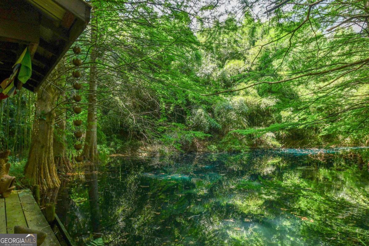 501 The Orchard Road Clarkesville, GA 30523 - Photo 14 of 20 a view of a lush green forest