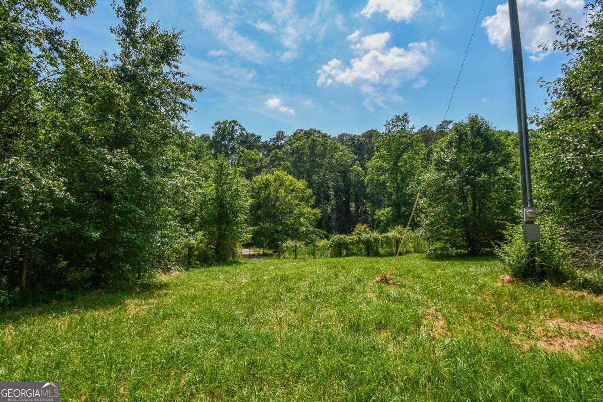 501 The Orchard Road Clarkesville, GA 30523 - Photo 15 of 20 a view of a grassy field with trees in the background