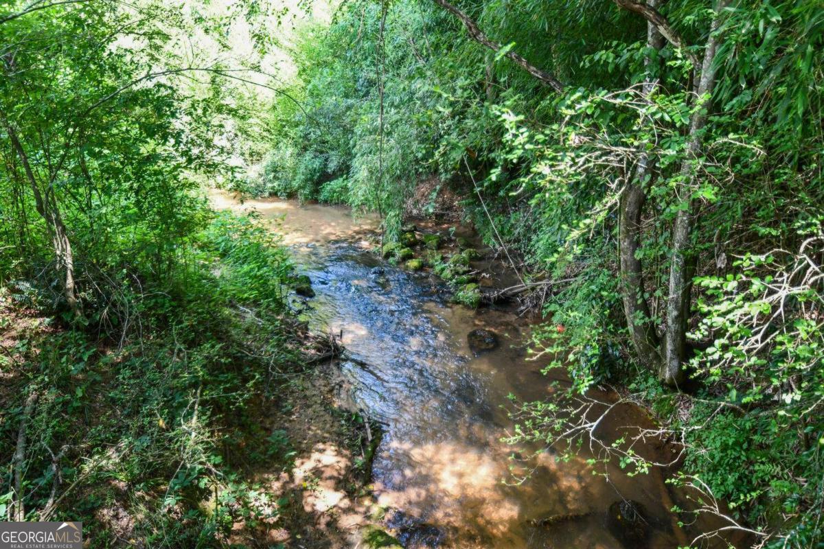 501 The Orchard Road Clarkesville, GA 30523 - Photo 19 of 20 a view of a yard with plants and a tree