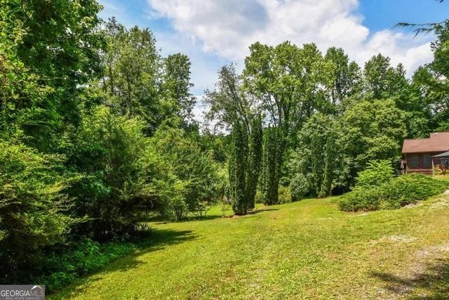 a view of a yard with an trees