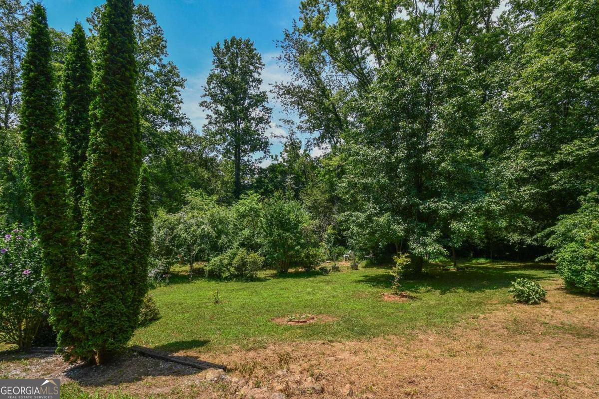 501 The Orchard Road Clarkesville, GA 30523 - Photo 10 of 20 a view of a field with trees