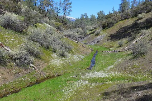 a big yard with lots of green space