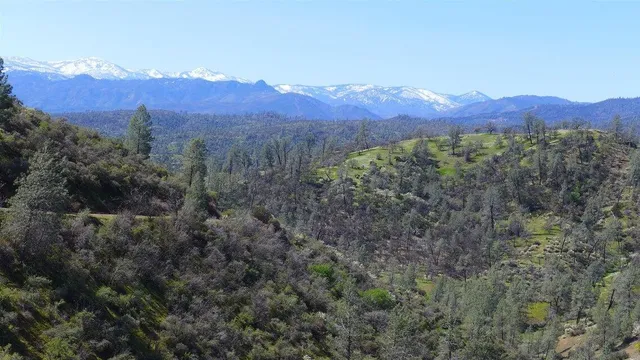 a view of a lush green hillside and a houses
