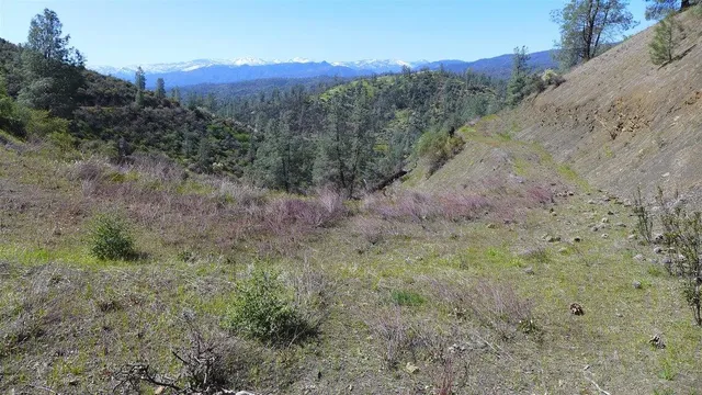 a view of a dry field