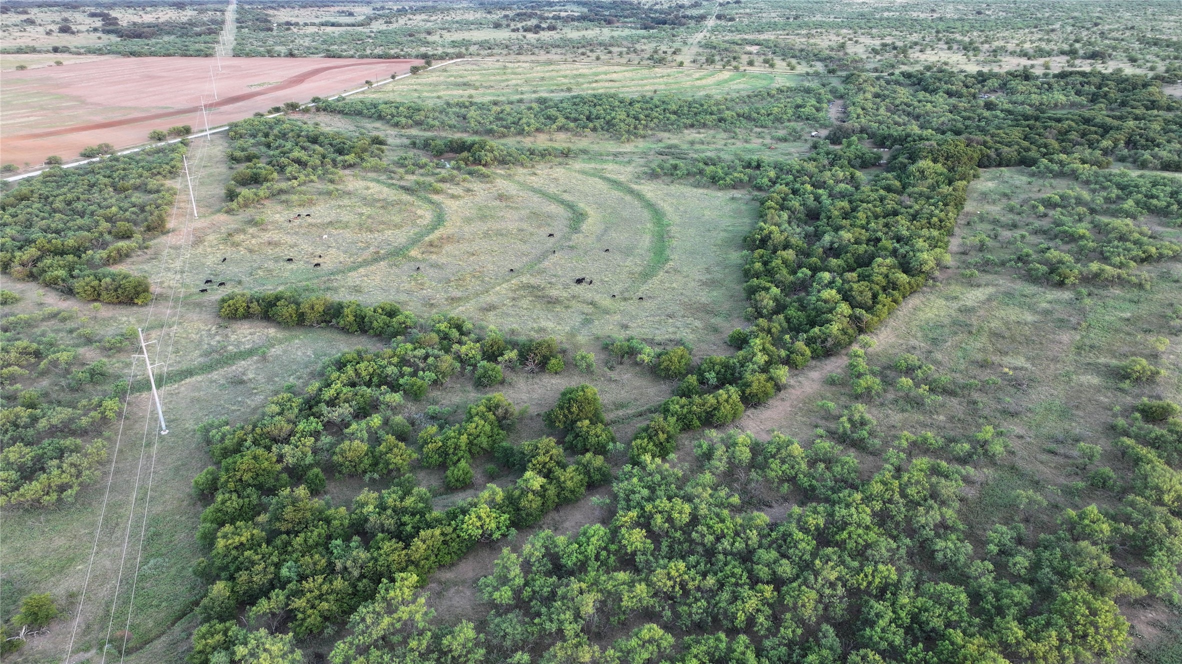 0 Butler Loop Graham, TX 76450 - Photo 3 of 12