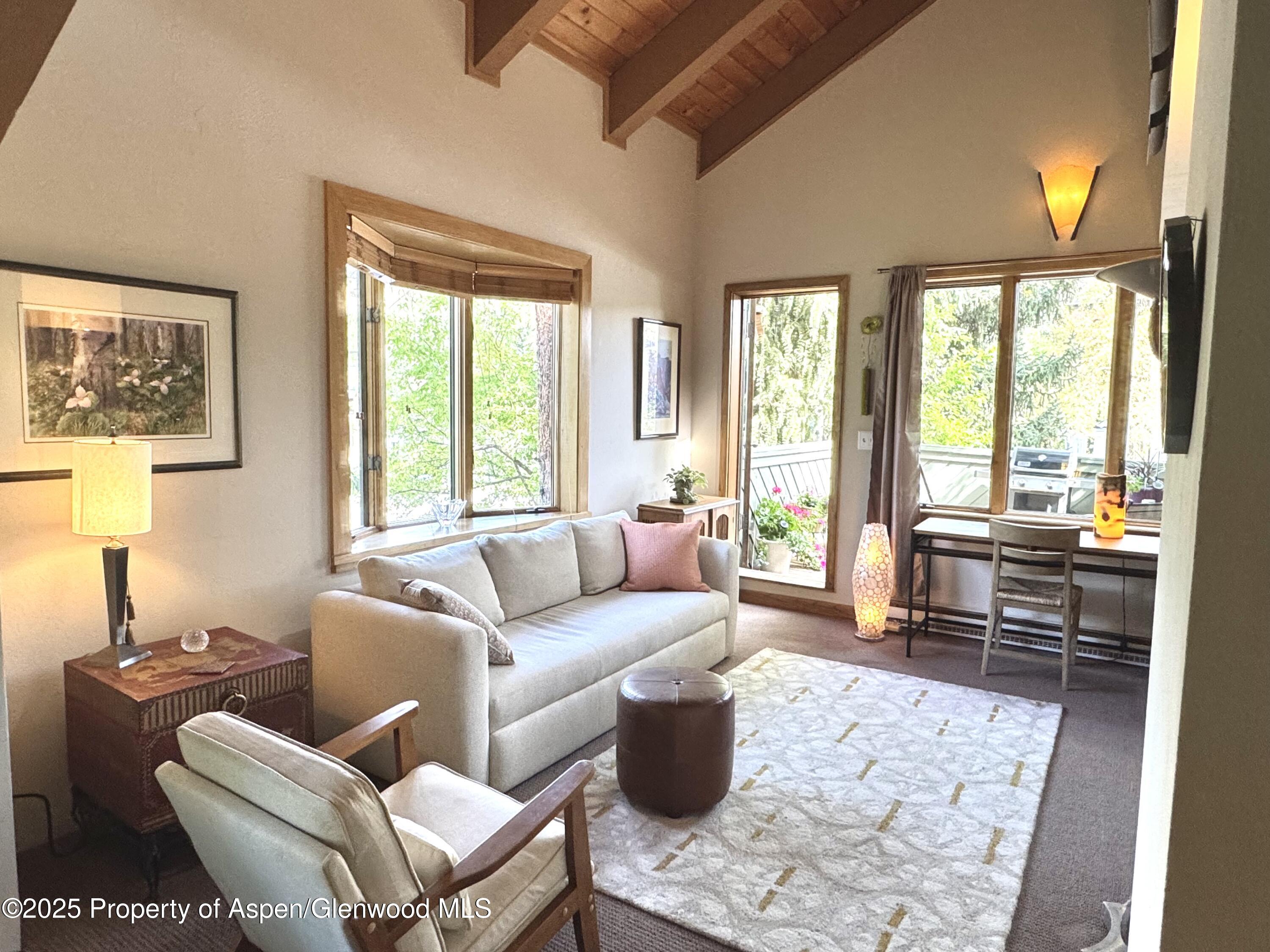 125 East Hyman Avenue, Unit 1A Aspen, CO 81611 - Photo 1 of 19 a living room with furniture and a large window