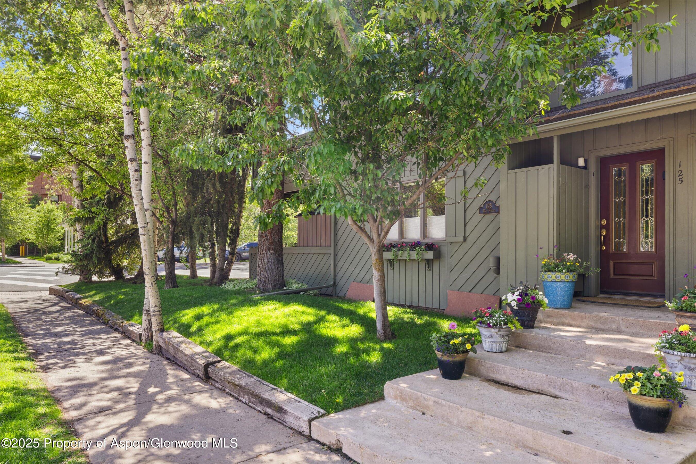 125 East Hyman Avenue, Unit 1A Aspen, CO 81611 - Photo 15 of 19 a view of a backyard with potted plants and large tree