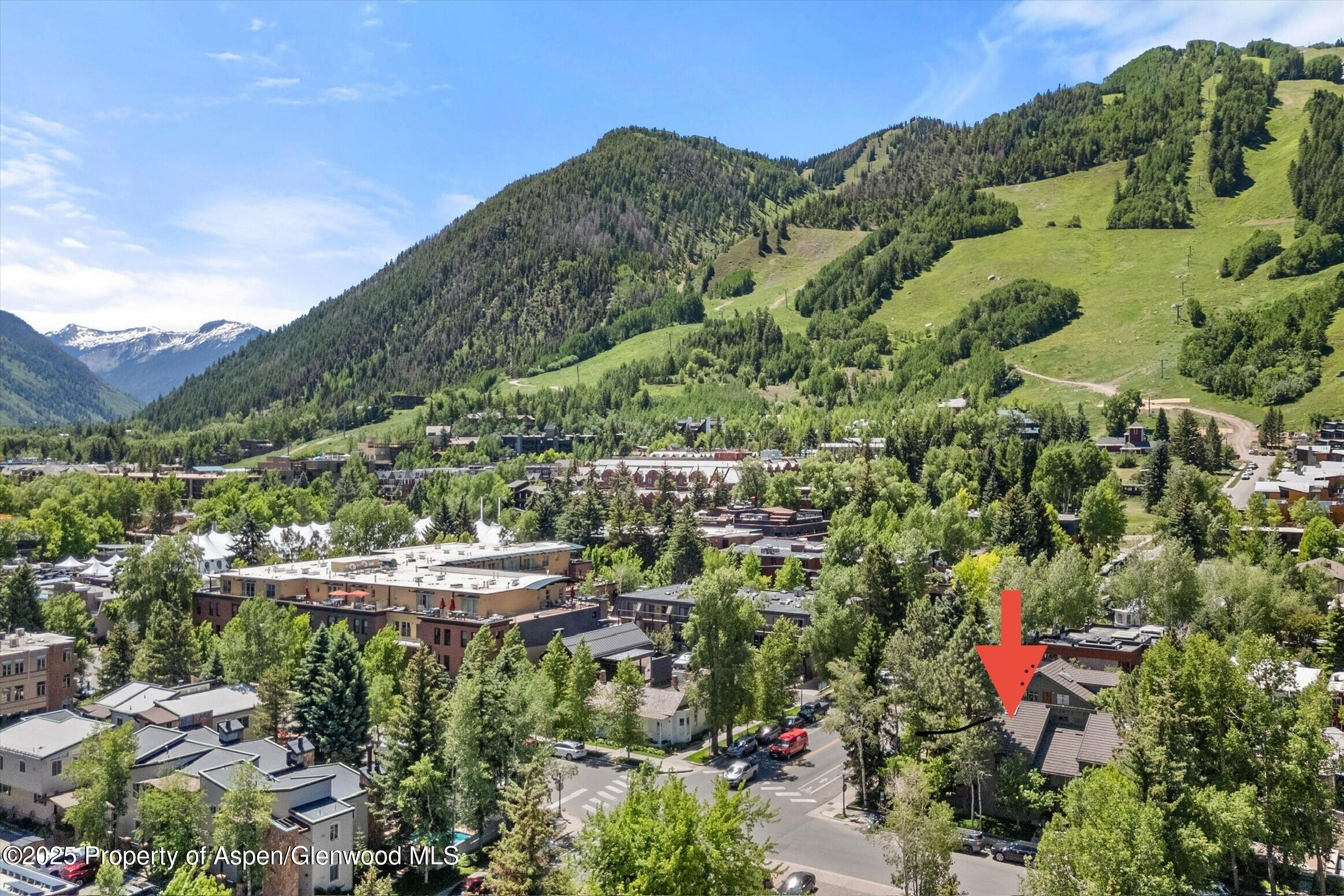 125 East Hyman Avenue, Unit 1A Aspen, CO 81611 - Photo 18 of 19 a view of a lot of trees and houses