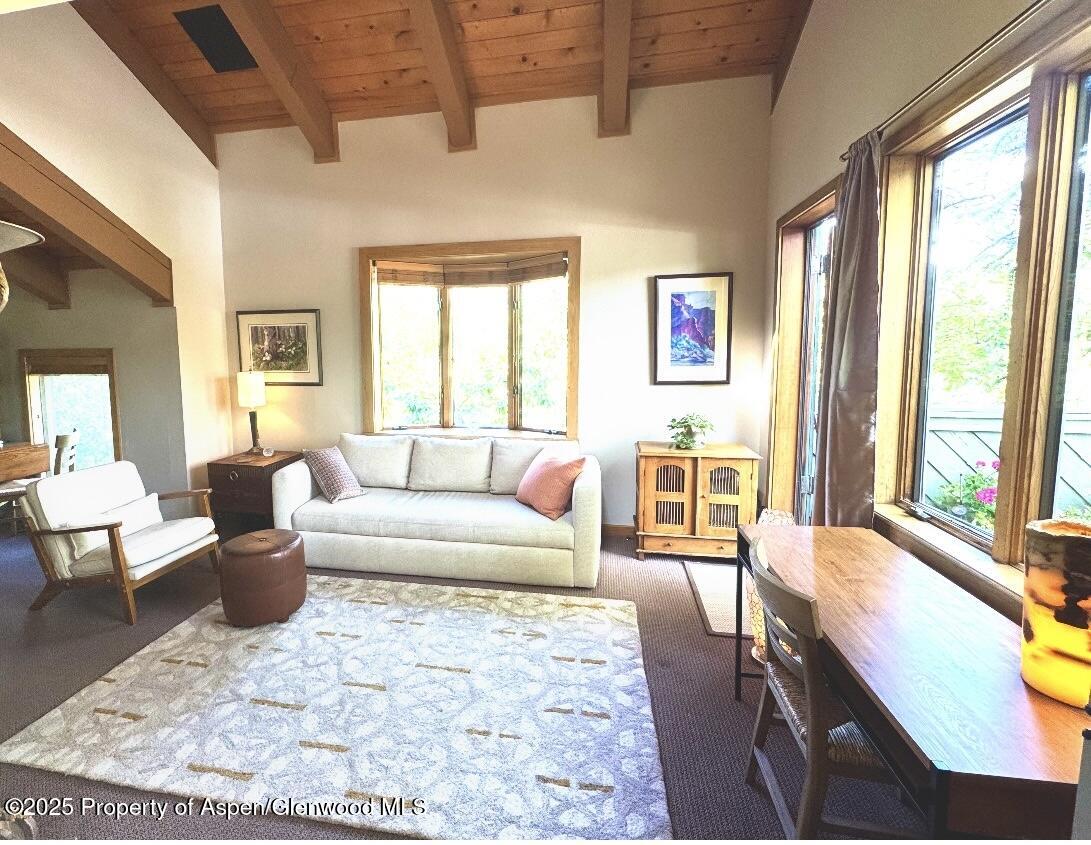 125 East Hyman Avenue, Unit 1A Aspen, CO 81611 - Photo 2 of 19 a living room with furniture and a large window