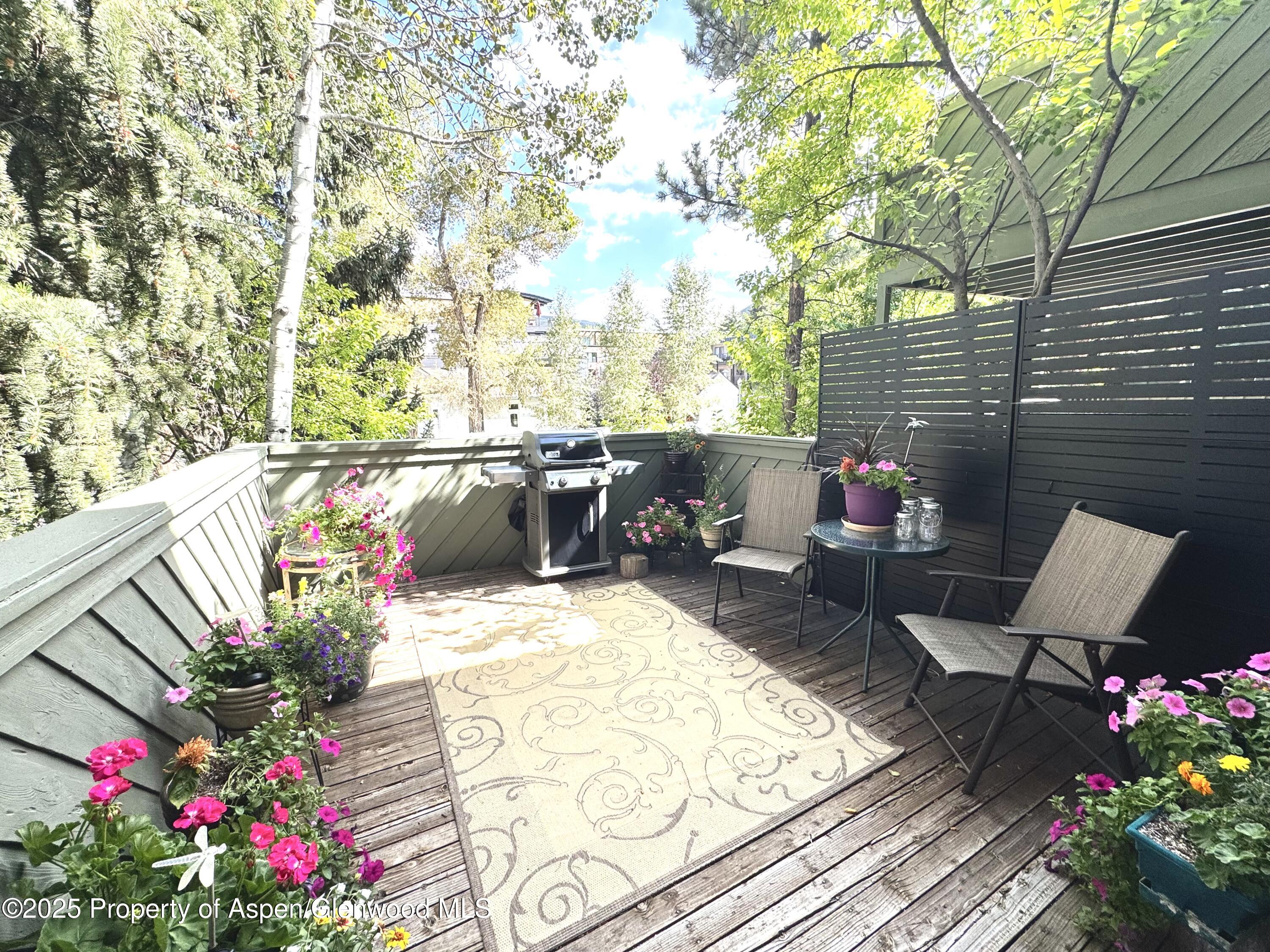 125 East Hyman Avenue, Unit 1A Aspen, CO 81611 - Photo 3 of 19 Hymanbalcony