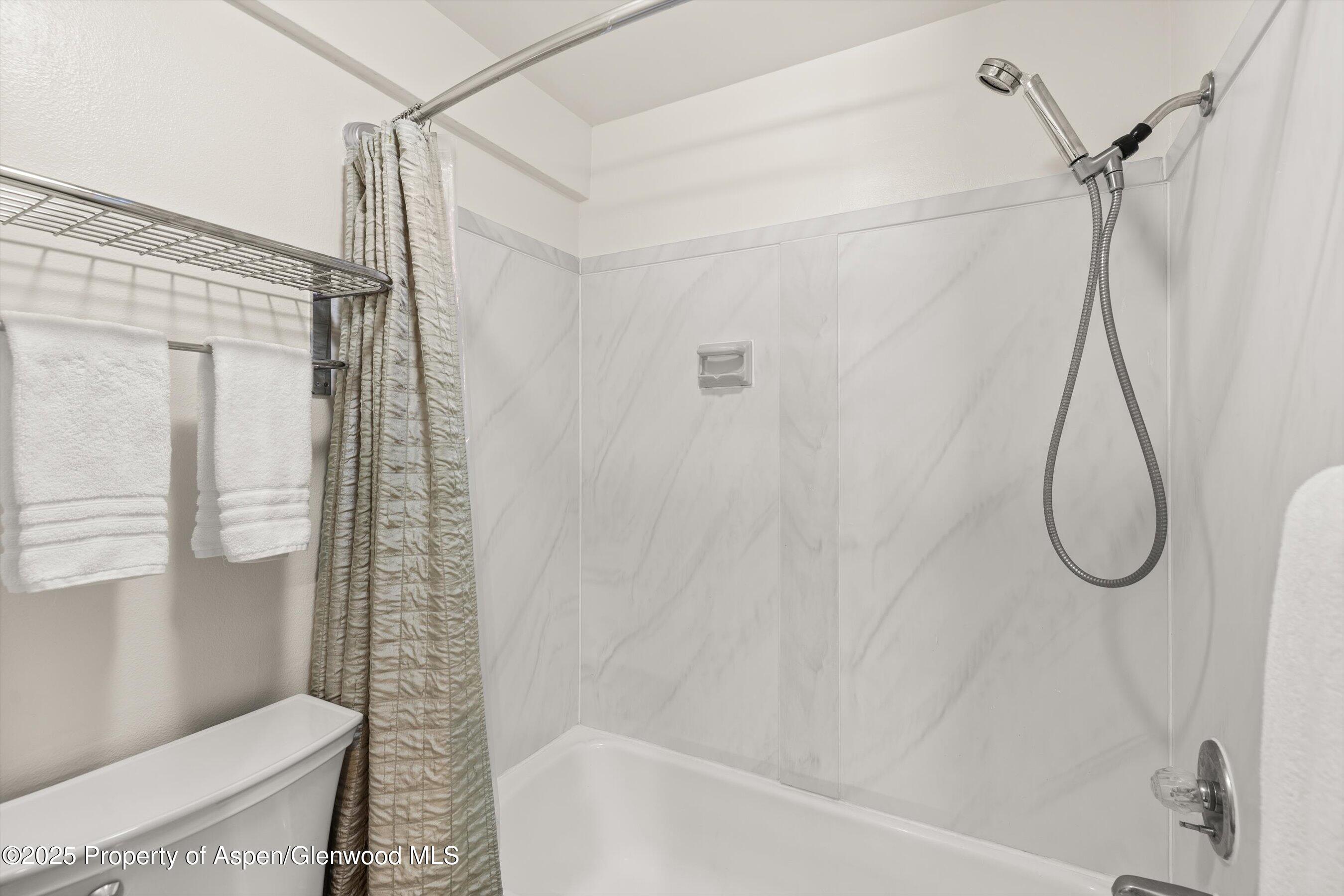 125 East Hyman Avenue, Unit 1A Aspen, CO 81611 - Photo 8 of 19 19-125EHymanAve_#1a_2506_0589