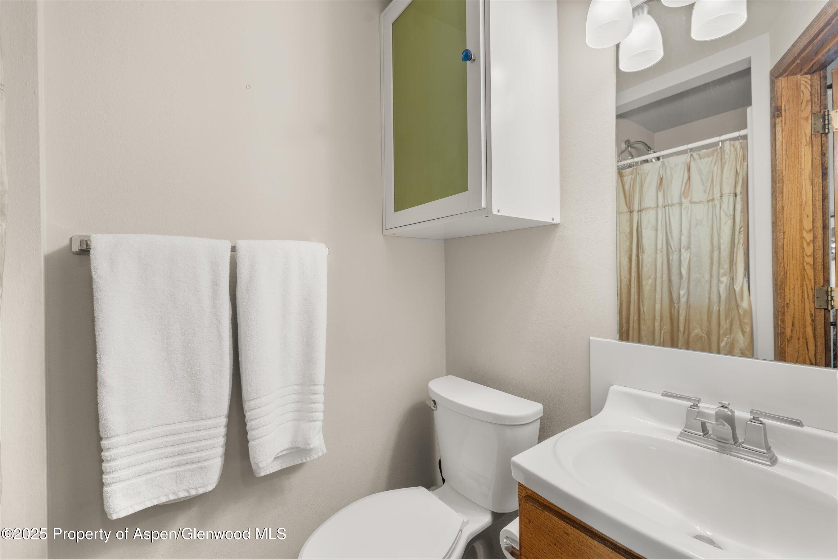 125 East Hyman Avenue, Unit 1A Aspen, CO 81611 - Photo 9 of 19 a white toilet sitting next to a bathroom sink