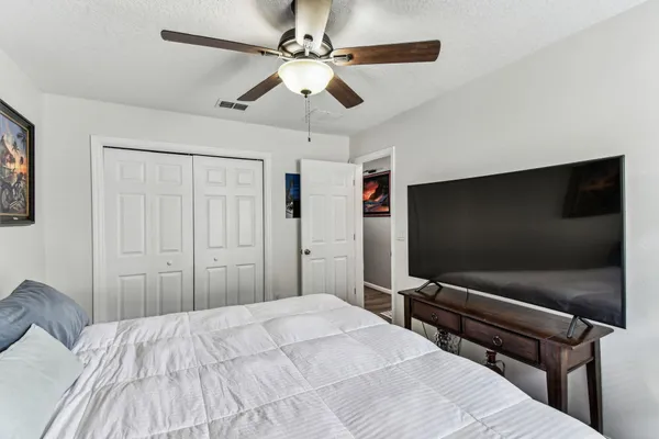 a room with a potted plant