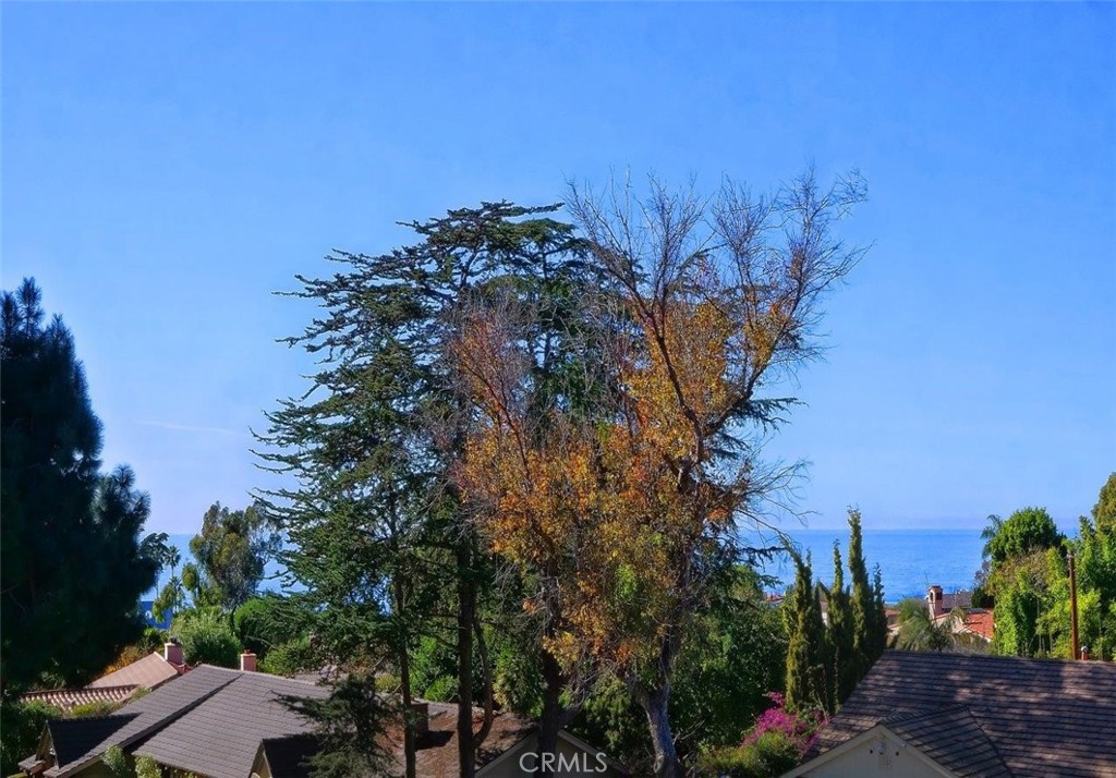 1724 Vía Estudillo Palos Verdes Estates, CA 90274 - Photo 45 of 45 a view of a flower in a garden