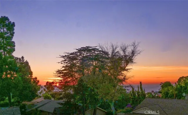 a view of a tree in a yard