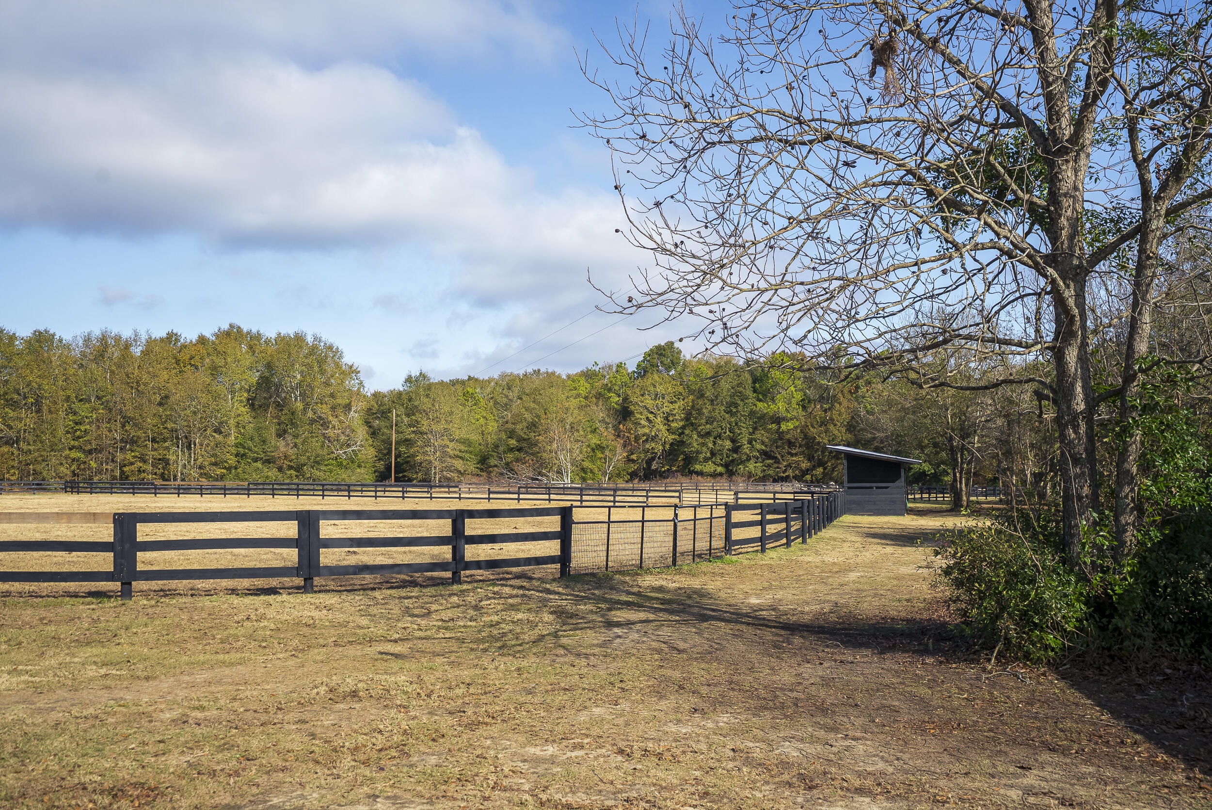 2300 Salley Road Salley, SC 29137 - Photo 80 of 89