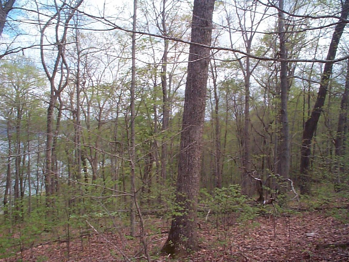 17 Bobcat Road Salt Lick, KY 40371 - Photo 2 of 3 Photo 2