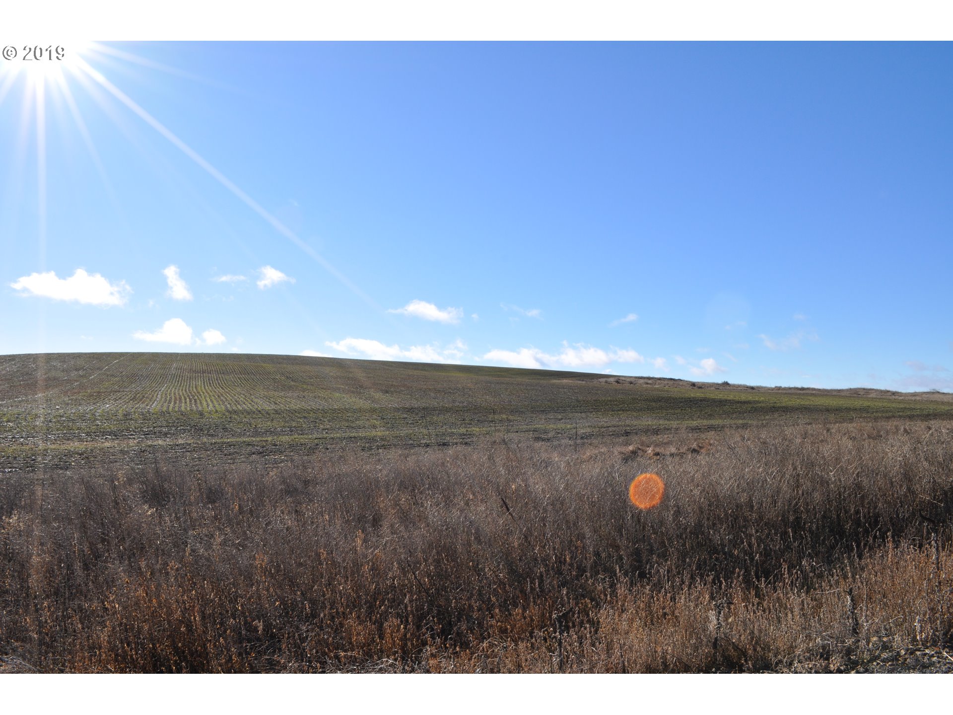 3 Spurs Loop, Unit 9 Goldendale, WA 98620 - Photo 1 of 7 Gallery Image 1