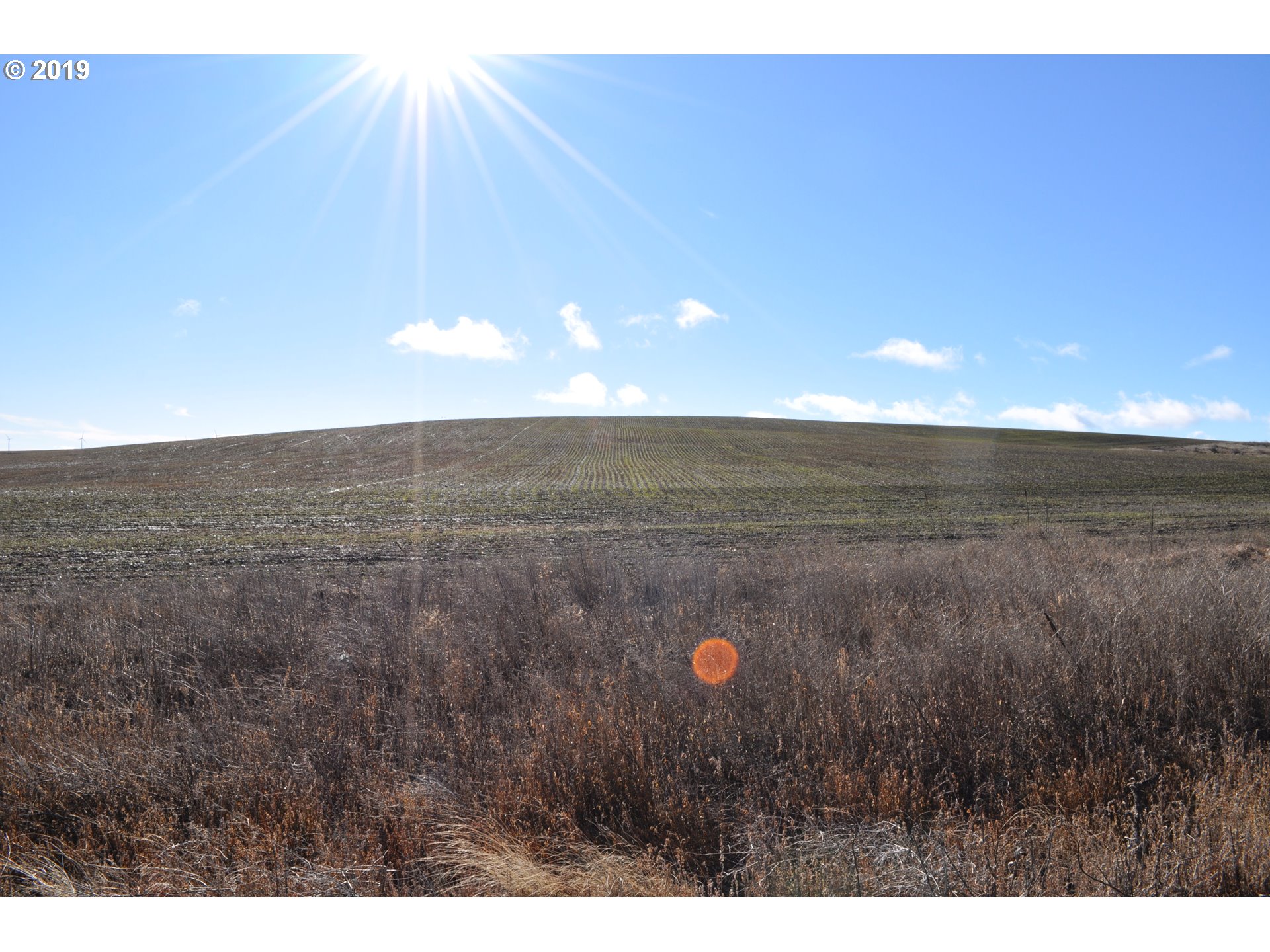 3 Spurs Loop, Unit 9 Goldendale, WA 98620 - Photo 2 of 7 Gallery Image 2
