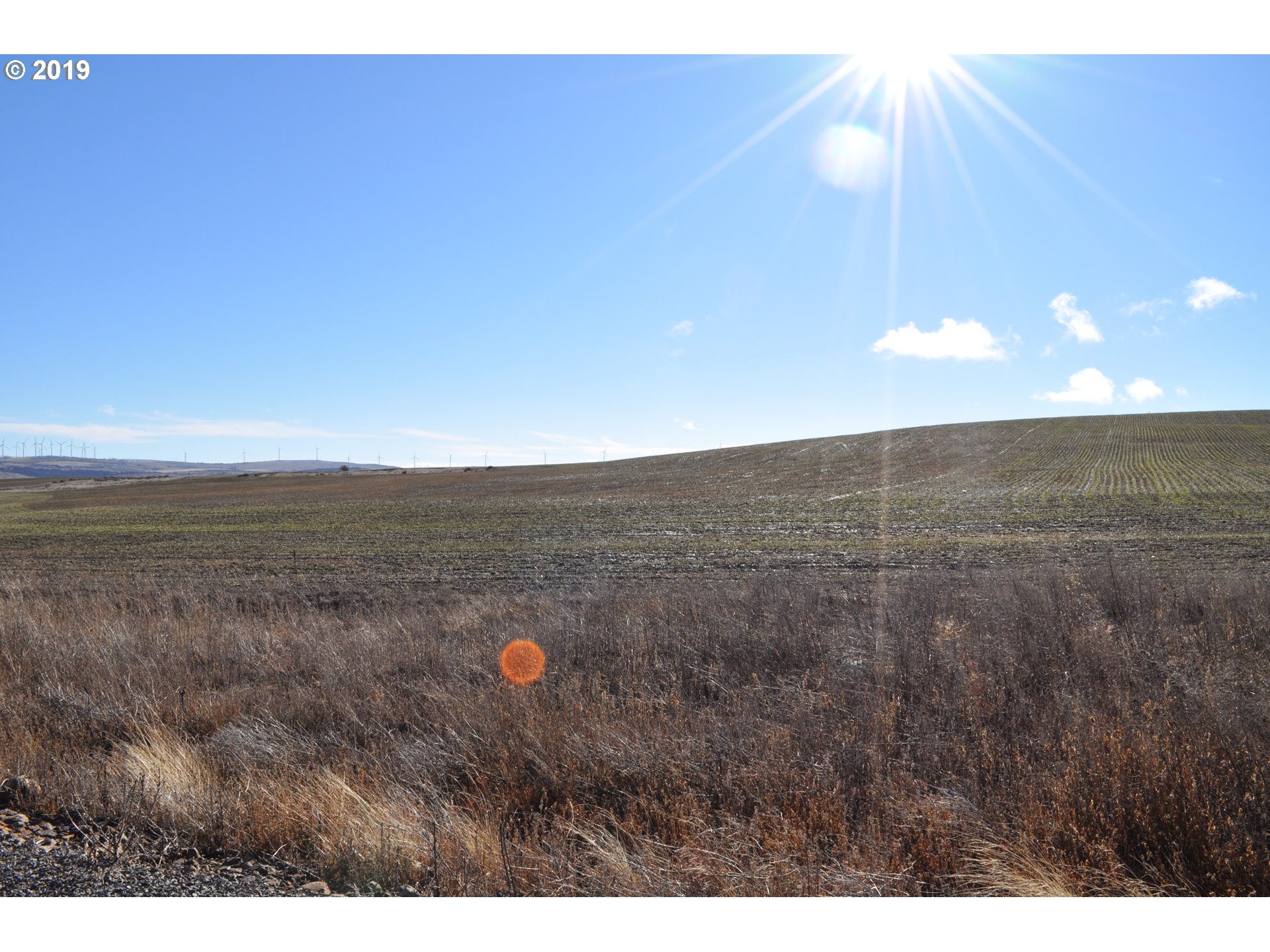 3 Spurs Loop, Unit 9 Goldendale, WA 98620 - Photo 3 of 7 Gallery Image 3