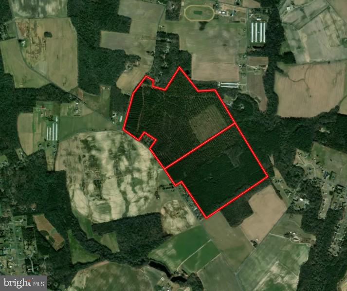 0 Jersey Road Delmar, MD 21875 - Photo 1 of 11