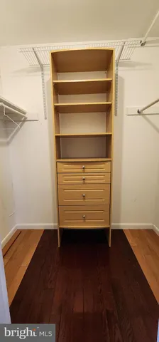 a view of walk in closet with empty racks