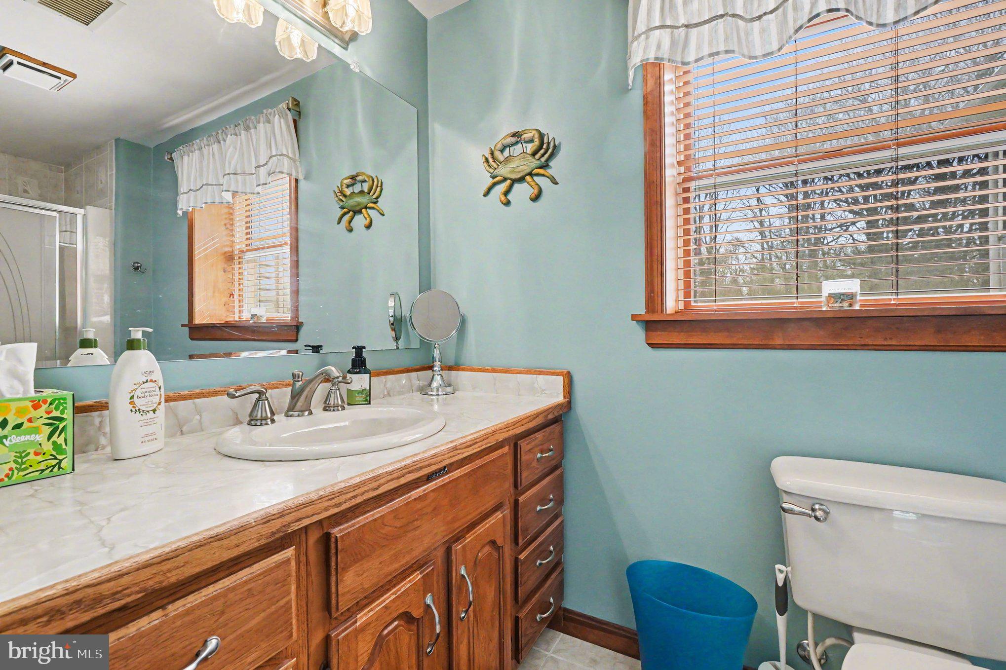 72 Cynthia Court Elkton, MD 21921 - Photo 31 of 61 Lower Level Bath #2