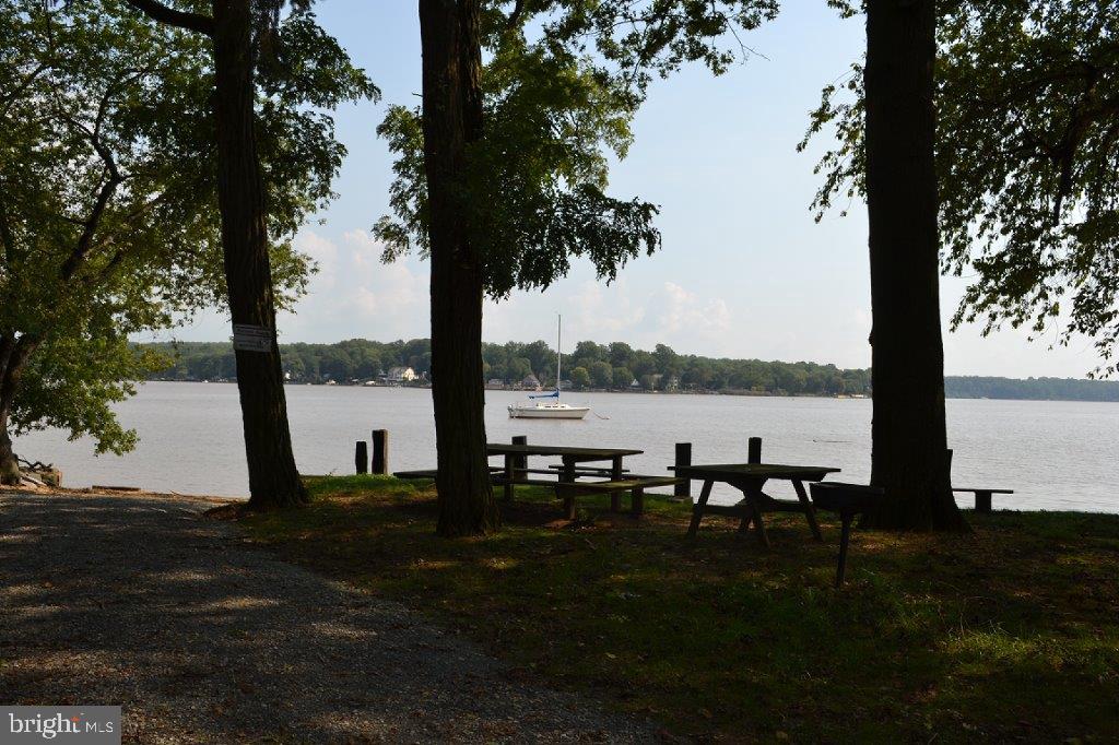 72 Cynthia Court Elkton, MD 21921 - Photo 55 of 61 Idyllic Riverscape Views-Water Rights to Elk River