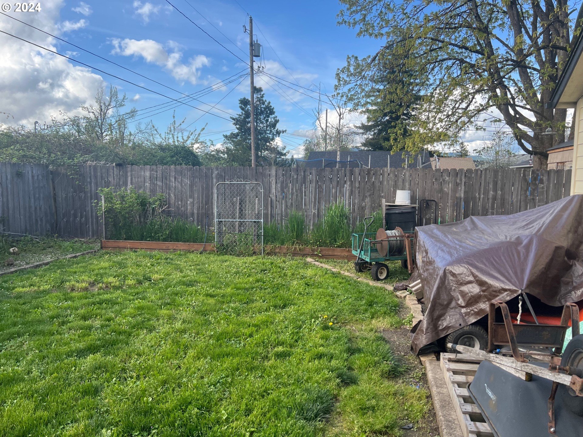 260 North 23rd Street Springfield, OR 97477 - Photo 16 of 16 a view of a backyard with furniture and a grill