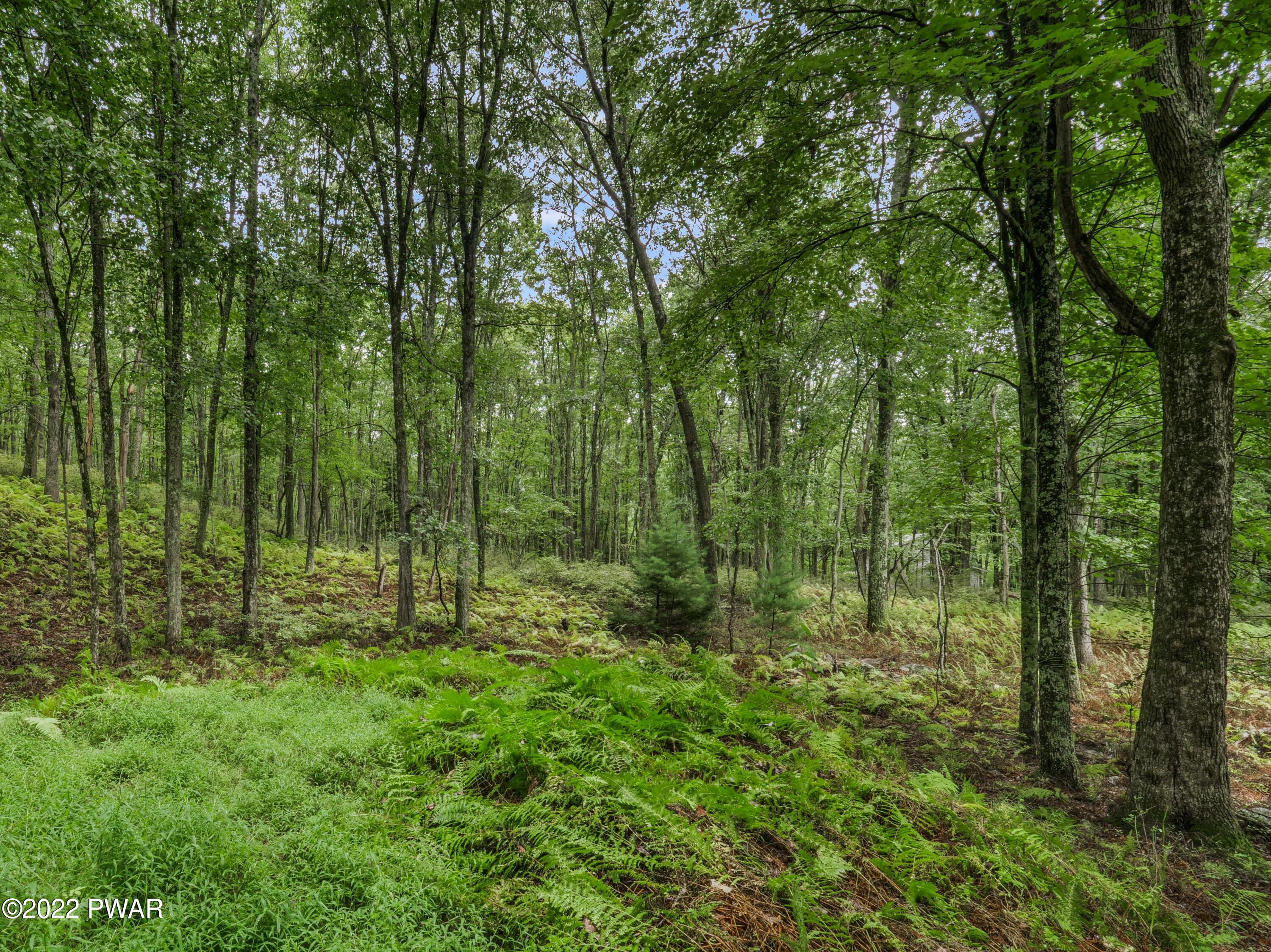 214 Springbrook Road Shohola, PA 18458 - Photo 29 of 29