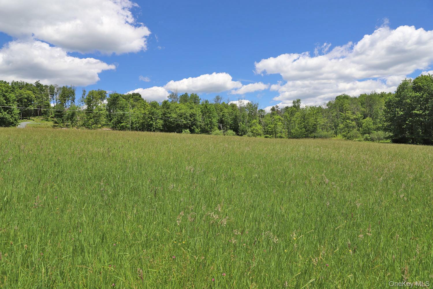 Dietz Road Callicoon Center, NY 12724 - Photo 14 of 24 Meadow to treeline