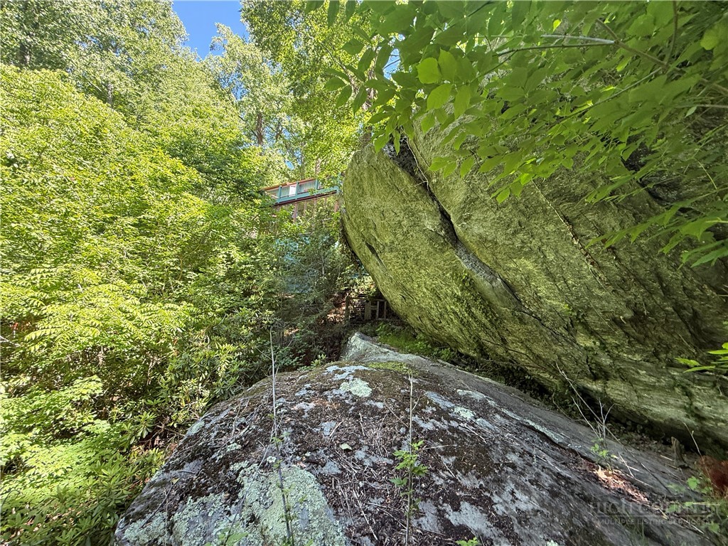 1590 Shulls Mill Road Boone, NC 28607 - Photo 18 of 50