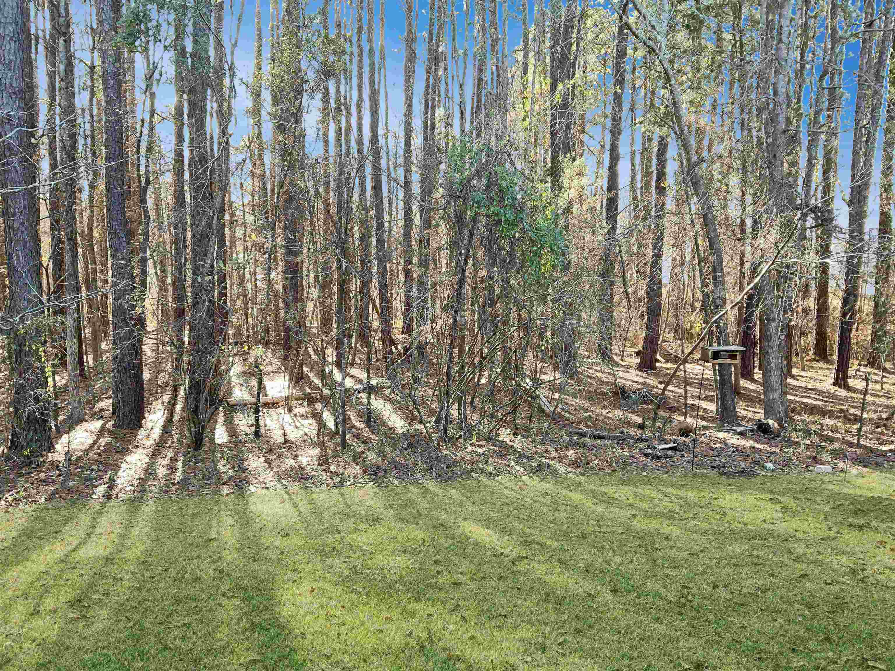 2226 Walnut Ridge Court Raleigh, NC 27610 - Photo 16 of 16 Photo 16