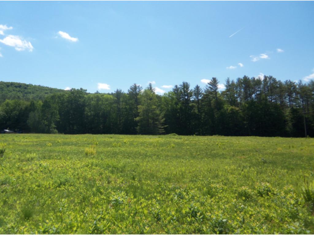 Lot 2 Dana Hill Road New Hampton, NH 03256 - Photo 1 of 3 Gallery Image 1