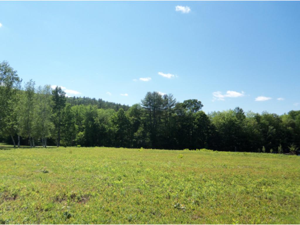 Lot 2 Dana Hill Road New Hampton, NH 03256 - Photo 2 of 3 Gallery Image 2