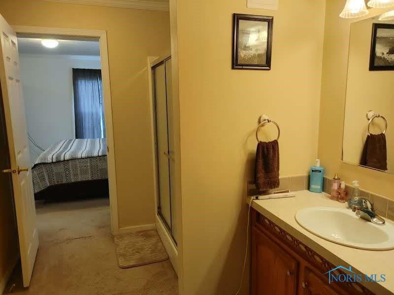 15436 County Road North Napoleon, OH 43545 - Photo 38 of 48 Gallery Image 38