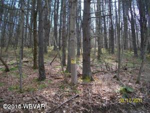 0 Campbell Road Mill Hall, PA 17751 - Photo 1 of 1 72163