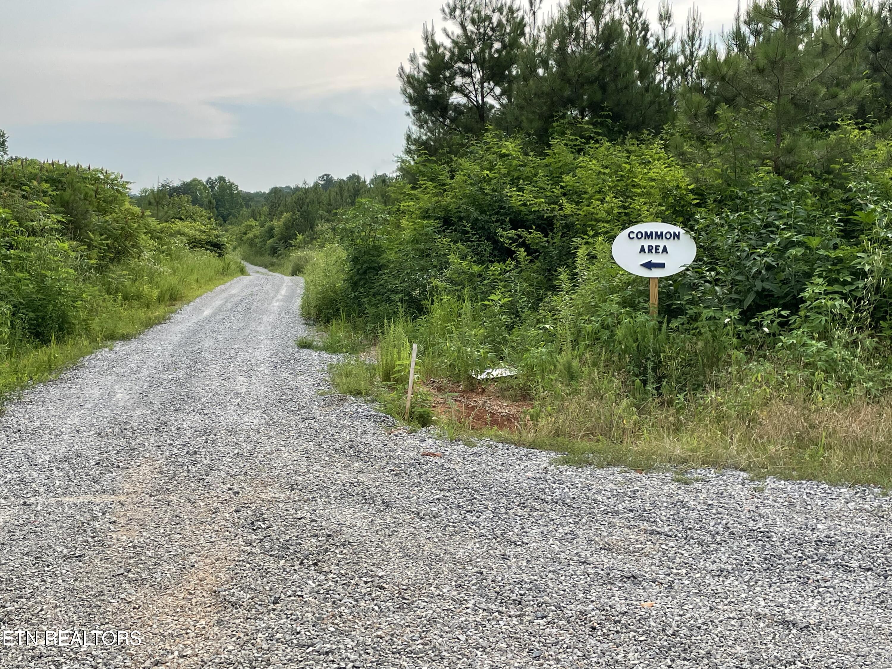 Millsaps Road Vonore, TN 37885 - Photo 14 of 18 IMG_1808