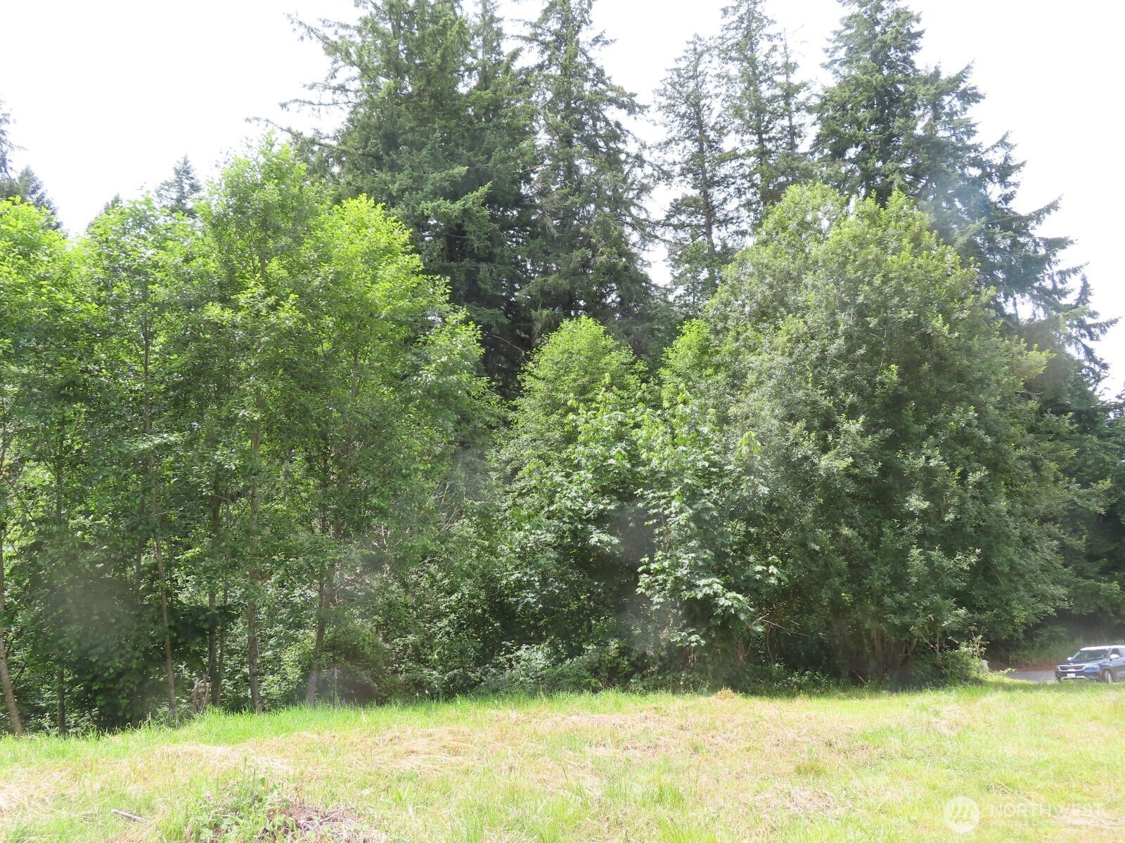 -xxx Coleman Road Mossyrock, WA 98564 - Photo 7 of 20