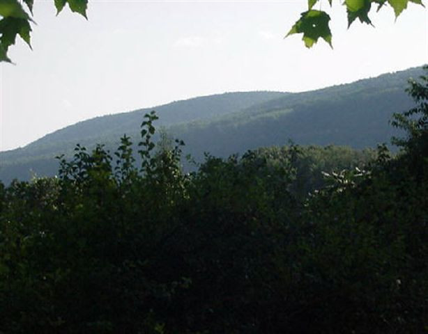 179 Picard Road Voorheesville, NY 12186 - Photo 3 of 6 Photo 3