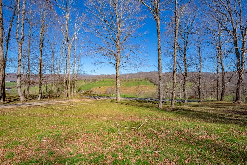 1504 Davis Valley Road Rural Retreat, VA 24368 - Photo 56 of 60 Gallery Image 56